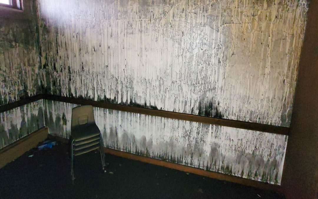 Can Fire & Smoke Damage Restoration Prevent Lingering Odors and Health Risks