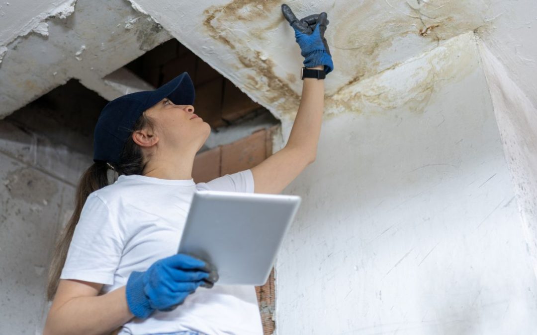 How Much Does Water Damage Restoration Really Cost in Tampa Bay