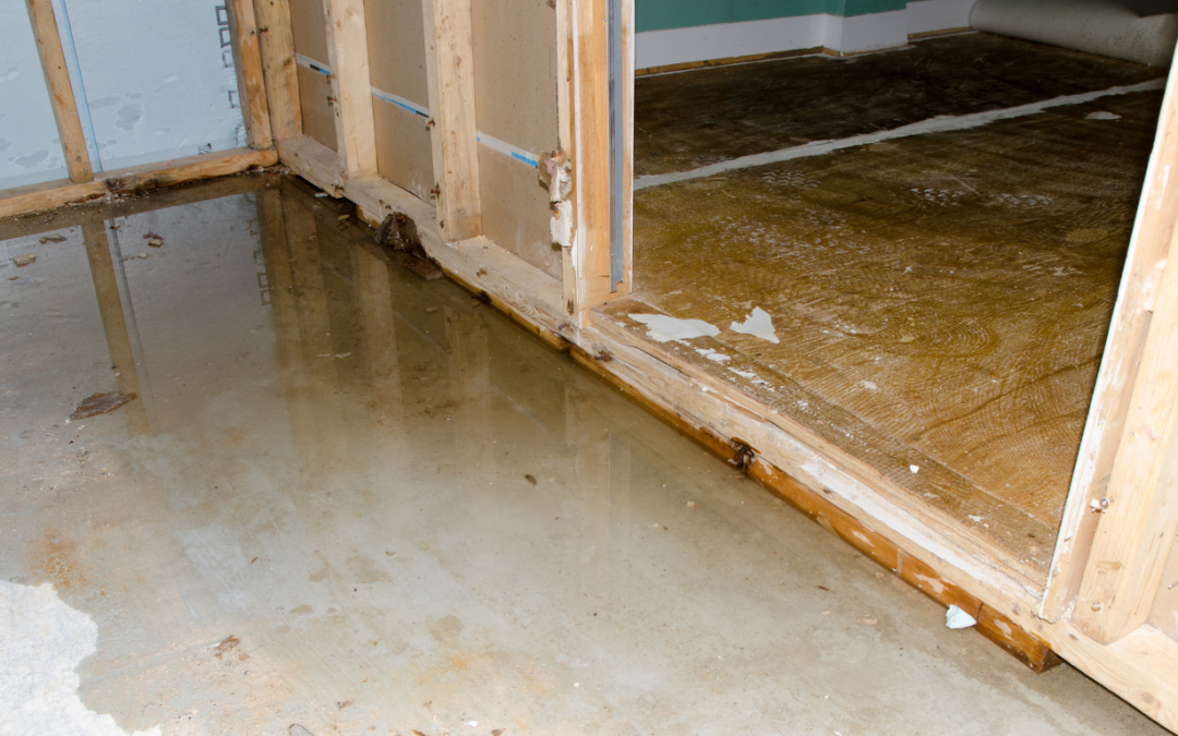 DIY vs Professional Water Damage Restoration in Tampa