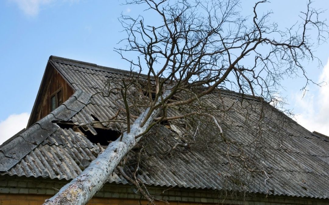 Fast Storm Damage Cleanup Contractors in Venice, FL